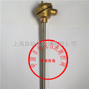 WRR2-120裝配式熱電偶上自?xún)x三廠